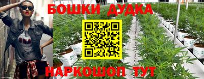 мдпв Старая Купавна