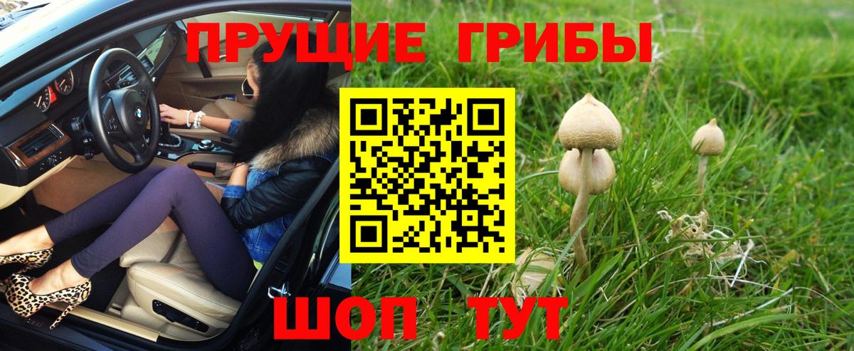 Искитим  Галлюциногенные грибы Psilocybe  Вход с VPN  Псилоцибиновые грибы Cubensis 