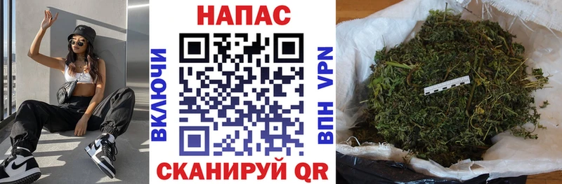 Бошки Шишки план  Искитим 